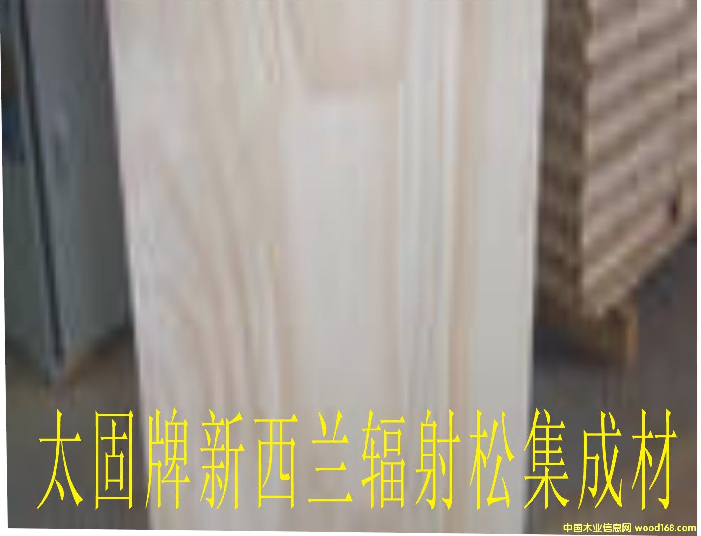 c鿴mݗɼɲķŴDƬ