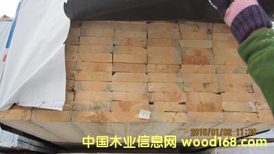 天津現(xiàn)貨加松的詳細介紹