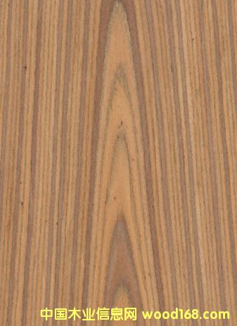 K.Y.Teak#301Ԕ(x)B