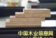 膠合板的詳細介紹