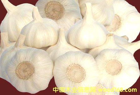 地板基材的詳細介紹