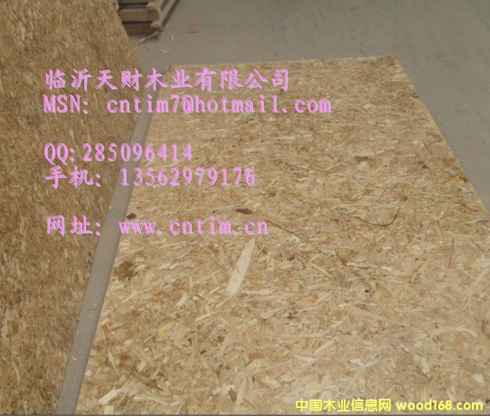 臨沂天財(cái)木業(yè)OSB板廠 產(chǎn)品遠(yuǎn)銷海外13562979176的詳細(xì)介紹