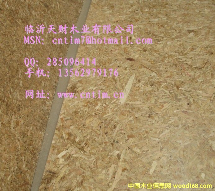 定向刨花板 聯(lián)系臨沂天財(cái)木業(yè)13562979176的詳細(xì)介紹