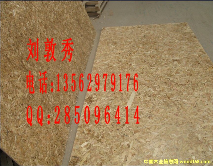 臨沂天財(cái)木業(yè)專業(yè)生產(chǎn)OSB定向刨花板13562979176的詳細(xì)介紹