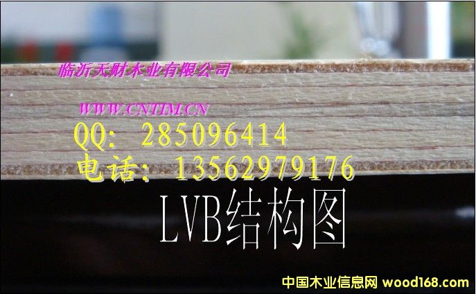 18mm LVB CARB順向板13562979176的詳細(xì)介紹