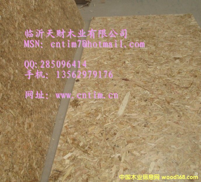 新型刨花板OSB 臨沂天財(cái)木業(yè)13562979176的詳細(xì)介紹