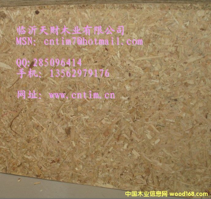 臨沂天財(cái)木業(yè)專業(yè)生產(chǎn)刨花板13562979176的詳細(xì)介紹