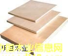建筑模板的詳細(xì)介紹