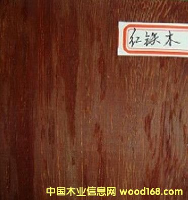 紅鐵木的詳細介紹