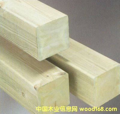 芬蘭木的詳細介紹
