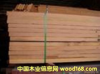 銀口木的詳細介紹