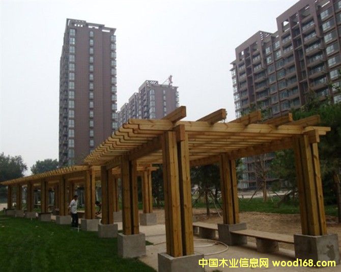 葡萄架的詳細介紹