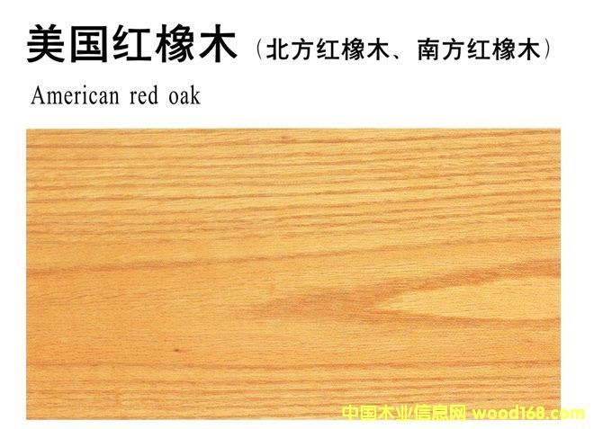 美國紅橡木的詳細介紹