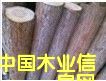 杉木的詳細介紹