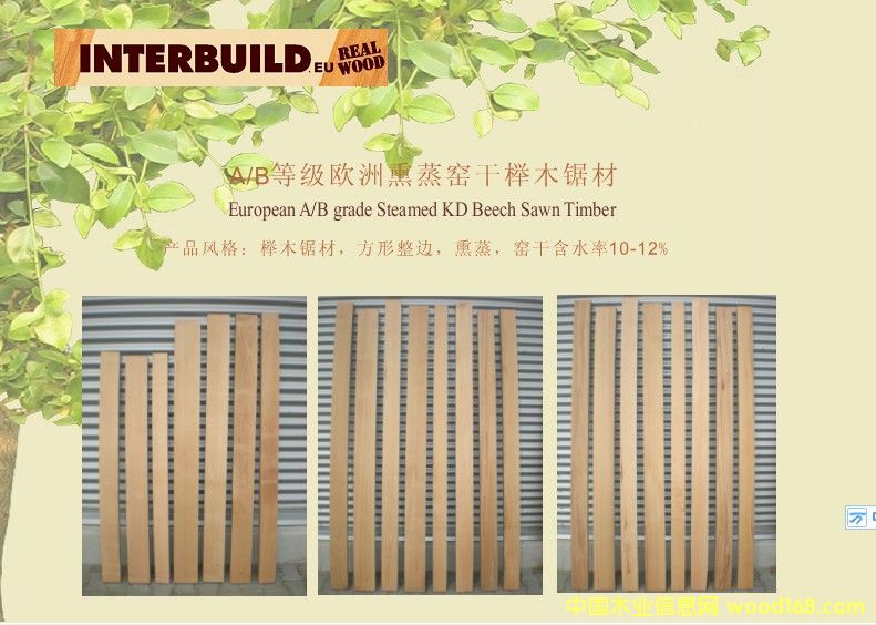 歐洲櫸木A/B級直邊鋸材的詳細介紹