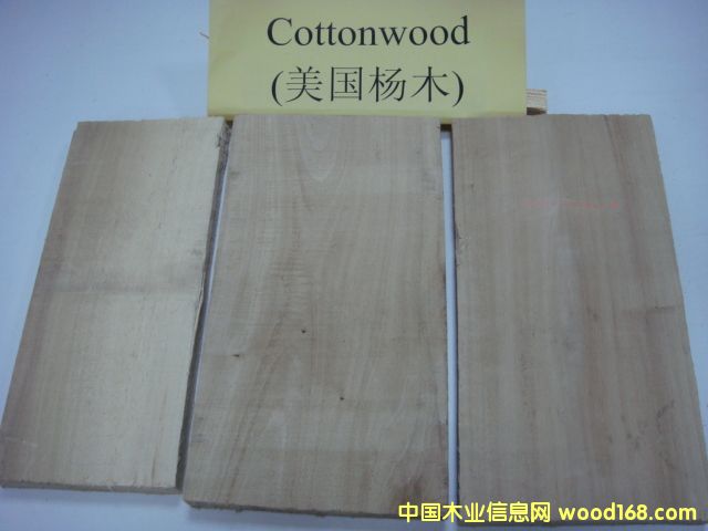 (gu)ľCottonwoodԔ(x)B