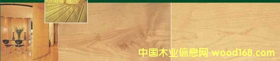 硬楓的詳細介紹