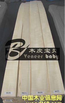 白影的詳細介紹