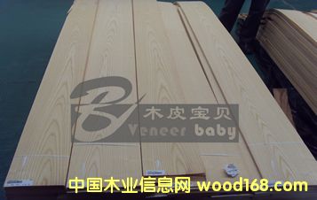 白栓的詳細介紹