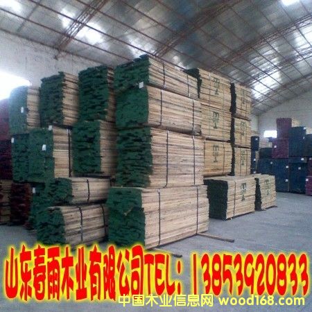 白橡的詳細介紹