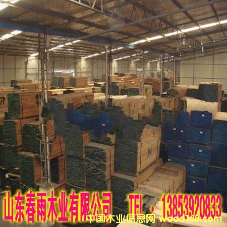 白榆的詳細介紹