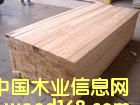 鐵杉的詳細介紹