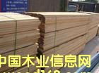 羅馬尼亞白松的詳細介紹