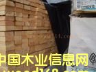 花旗松的詳細介紹