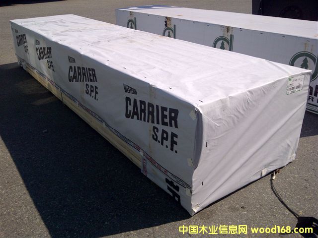 carrier的詳細介紹