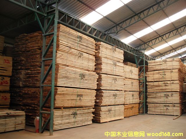 taeda pine 4的詳細介紹