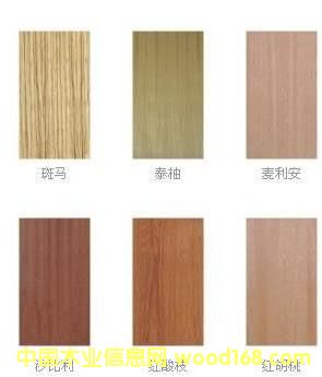 產品圖片的詳細介紹