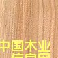 柳  木  Willow的詳細介紹