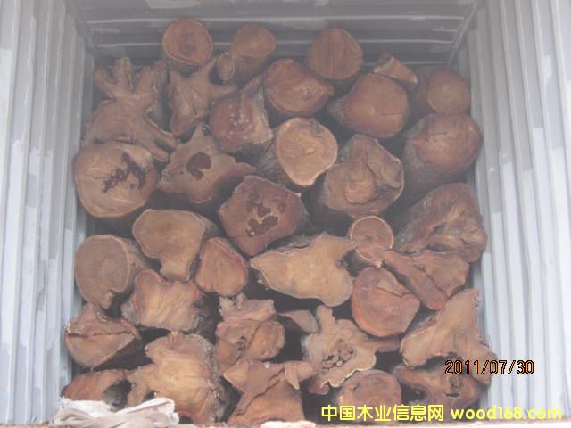 亞花梨（岡比亞）的詳細介紹