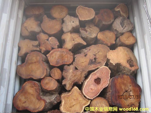 亞花梨（岡比亞）的詳細介紹