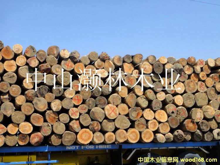 馬六甲原木2的詳細(xì)介紹