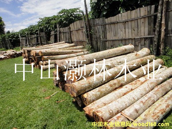 馬六甲原木1的詳細(xì)介紹