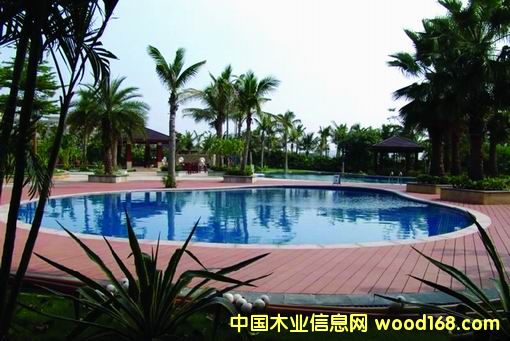 游泳池2的詳細介紹