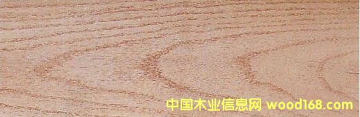 c鿴t Red OakŴDƬ