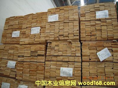 智立松的詳細介紹