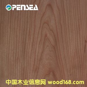 櫻桃的詳細介紹