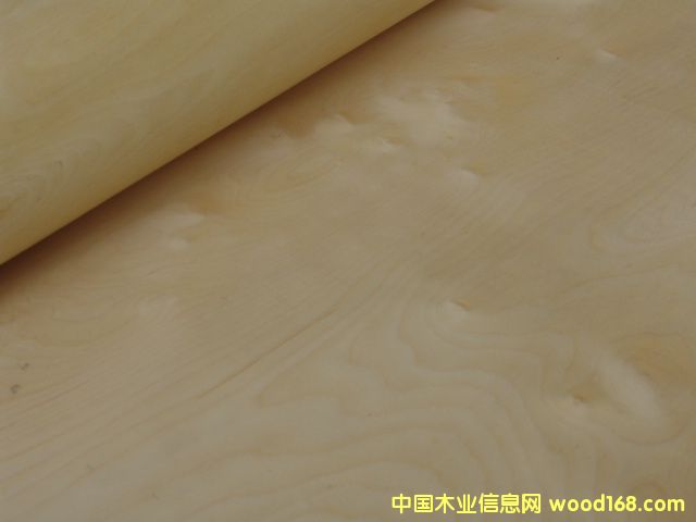 樺木的詳細介紹