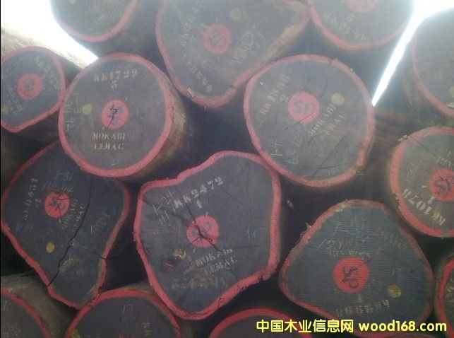 紅花梨的詳細介紹