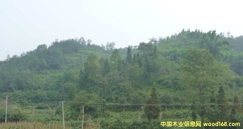 Ĵʡɶ߅3000஀òֵD(zhun)׌