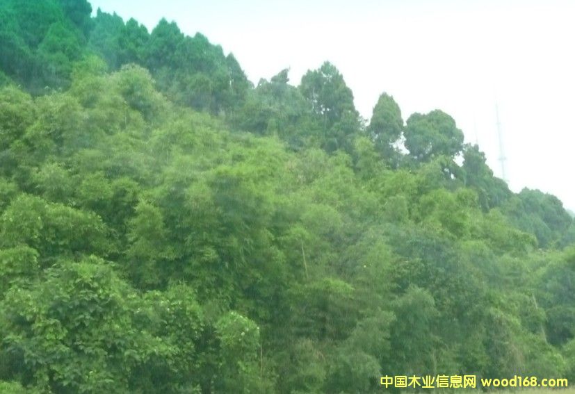 Ĵʡɶ2800஀ֵD(zhun)׌