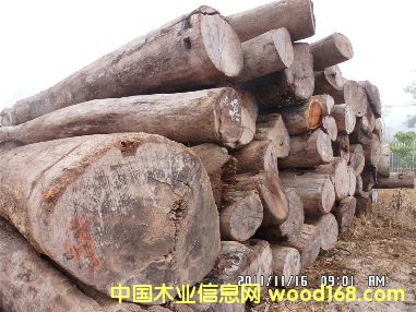 老撾酸枝原木的詳細介紹