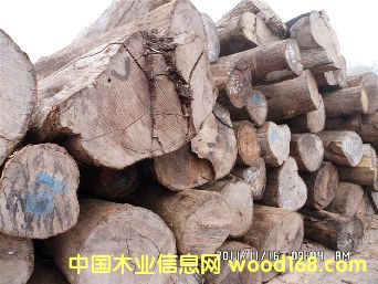 老撾酸枝原木的詳細介紹