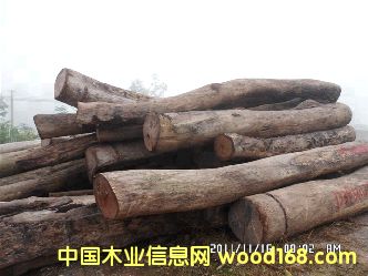 老撾酸枝原木的詳細介紹
