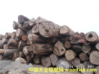 老撾酸枝原木的詳細介紹