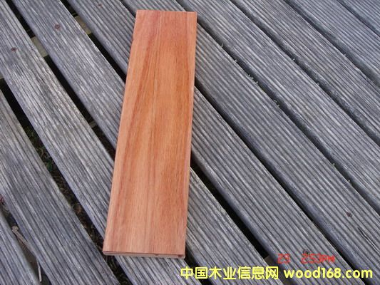 100%FSCJC Karri Woodt