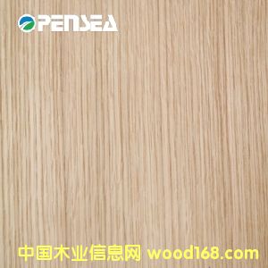 白橡的詳細介紹